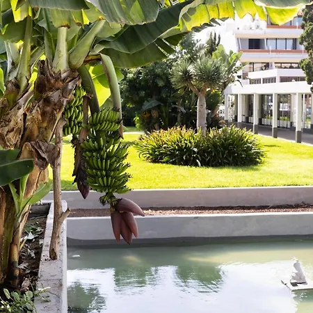 Listen The Silence - 355 Apartment Arona (Tenerife)